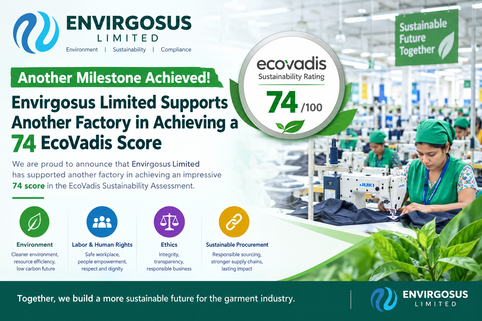Envirgosus